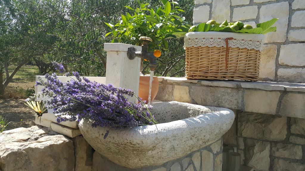 Luxury Villa Luminosa Split Dış mekan fotoğraf